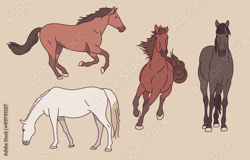 The movements of a running horse.