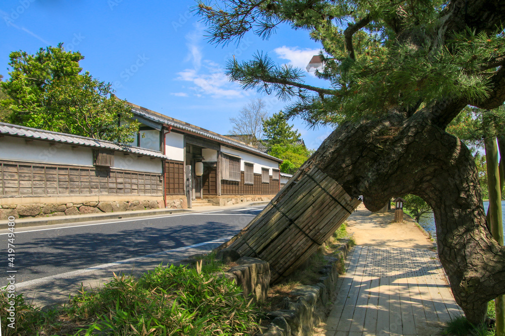 Fototapeta premium 塩見縄手