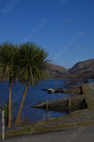 a palm tree next to a lake on the road side with mountains in the background and a boat on the lake