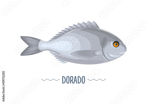 Dorado fresh fish isolated on white background. Vector illuctration, cartoon, simbol, icon, element, logo, sticker for poster, flayer, label, packaging