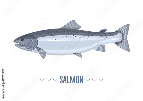 Wallpaper Mural Fresh salmon nand drawn isolated on white background. Vector illustration, cartoon, simbol, icon, emblem, logo, sticker for poster, label, packaging Torontodigital.ca