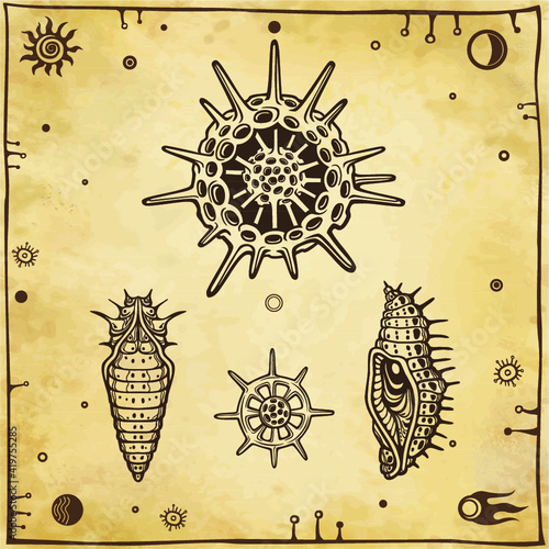 Set of graphic images: doll of an insect, larva, radiolaria. Vector illustration. A background - imitation of old paper.