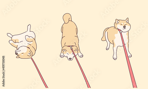 Shiba Inu is stubborn and holding on.