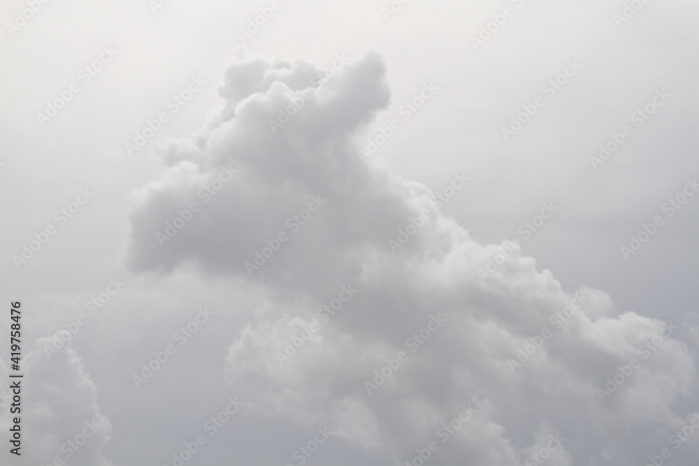 White and grey dog cloud in the sky White and grey dog cloud in the sky