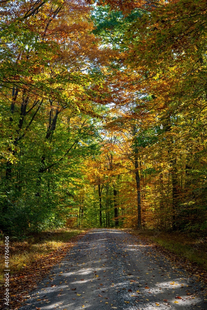 Colorful Autumn Road