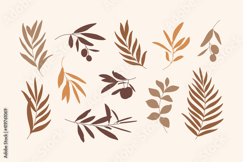 Set of Leaves and Branch. Silhouette Palm leaf and Olive Branch In a Simple Style. Vector Illustration for printing on t-shirt, Web Design, beauty Salons, Posters, creating a logo and Patterns