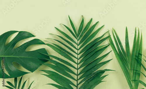 Tropical palm leaves on green background. Trendy tropical pattern. Flat lay. Summer  vacation  holidays concept.  