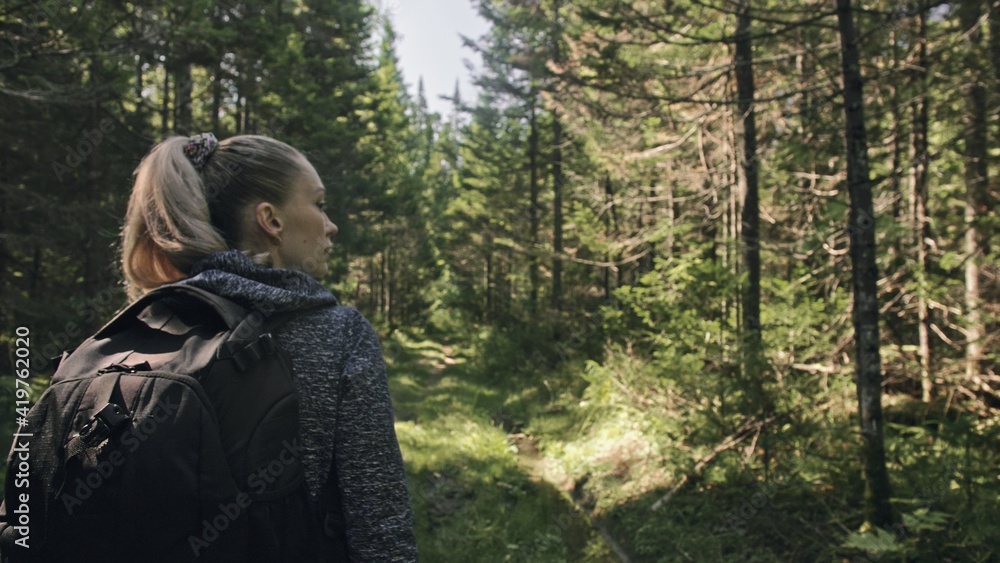 Traveler photographing scenic view in forest. One caucasian woman shooting nice magic look. Girl take photo video on dslr mirrorless camera. Professional photographer travel with backpack. Outdoor. Traveler photographing scenic view in forest. One caucasian woman shooting nice magic look. Girl take photo video on dslr mirrorless camera. Professional photographer travel with backpack. Outdoor.