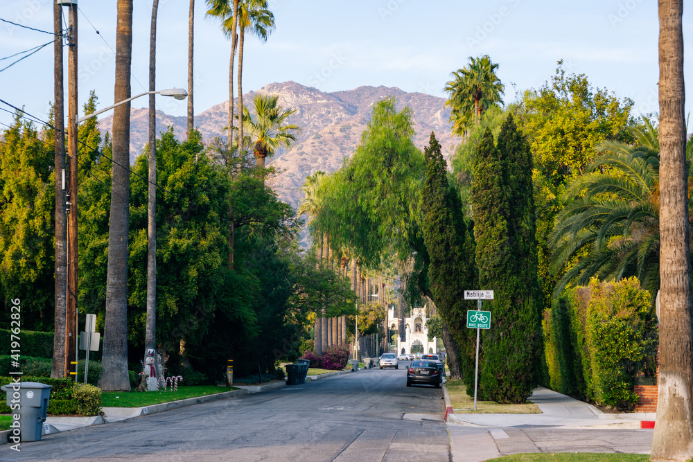 Road In a Wealthy Neighborhood 