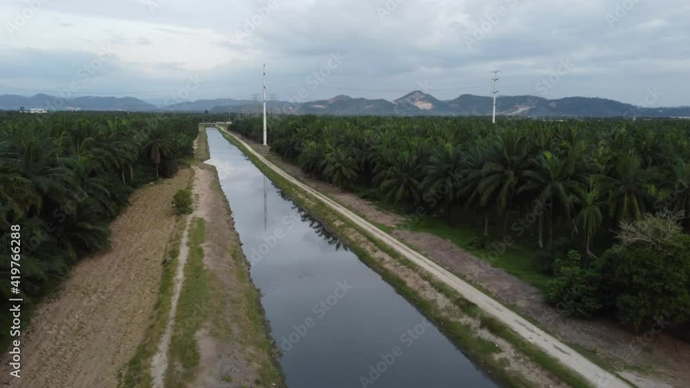 Reflection electric in river at plantation in aerial view Reflection electric in river at plantation in aerial view