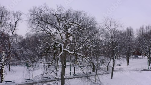 Wallpaper Mural Drone moving up in a public park in winter Torontodigital.ca