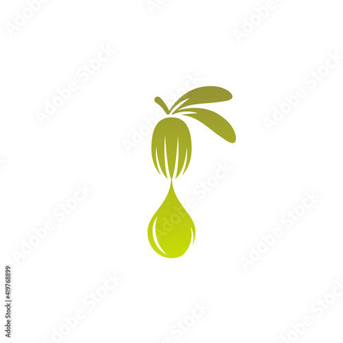Shea nut with oil drop green icon. vitellaria beauty and cosmetics oil.