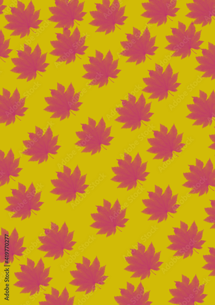 pattern pink flower with yellow background pattern pink flower with yellow background