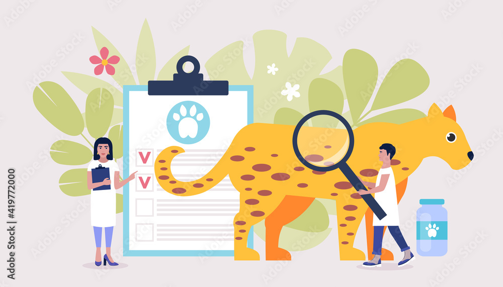 Fototapeta premium Veterinary science concept