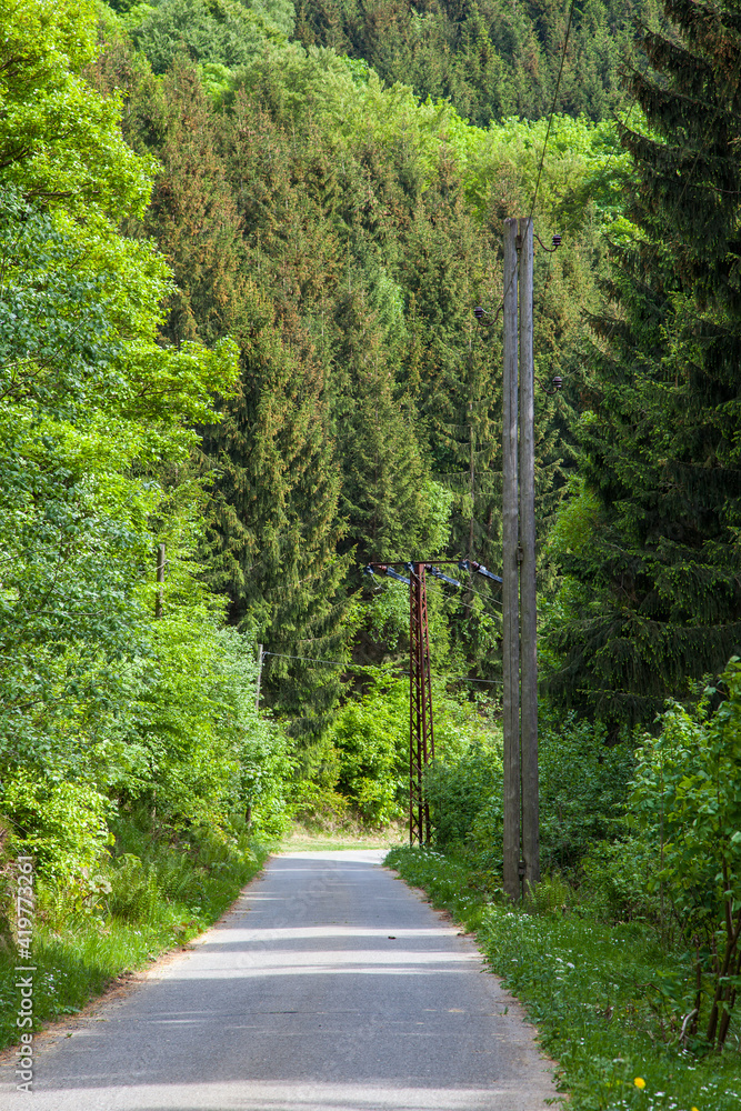 enge Straße im Harz enge Straße im Harz