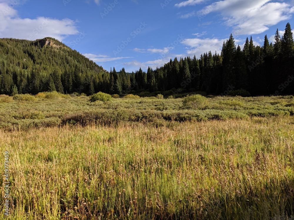 Mountian field Mountian field