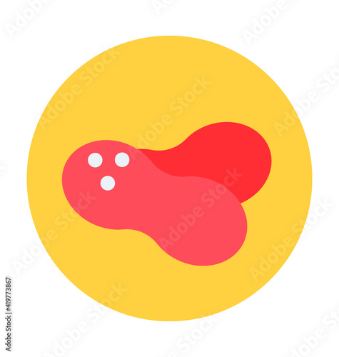 Peanut Vector Icon