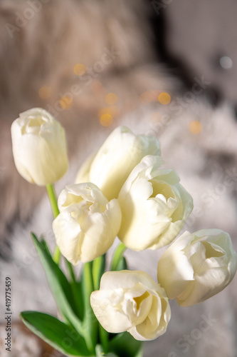 Bouquet of white tulips in a cozy sunny bedroom, vertical photo