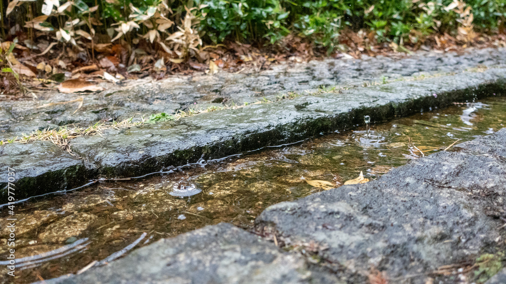 Fototapeta premium 公園の水路に雨が降る風景。 ウォータークラウン