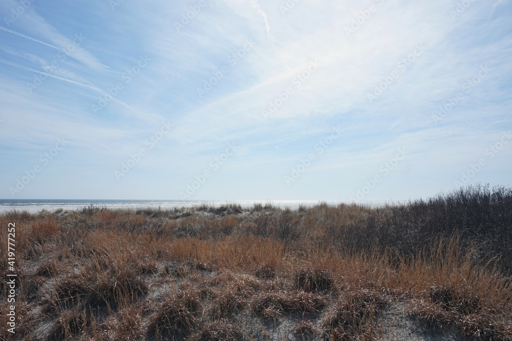 Ocean Beyond Dunes with Bright Blue Sky on Sunny Day Ocean Beyond Dunes with Bright Blue Sky on Sunny Day