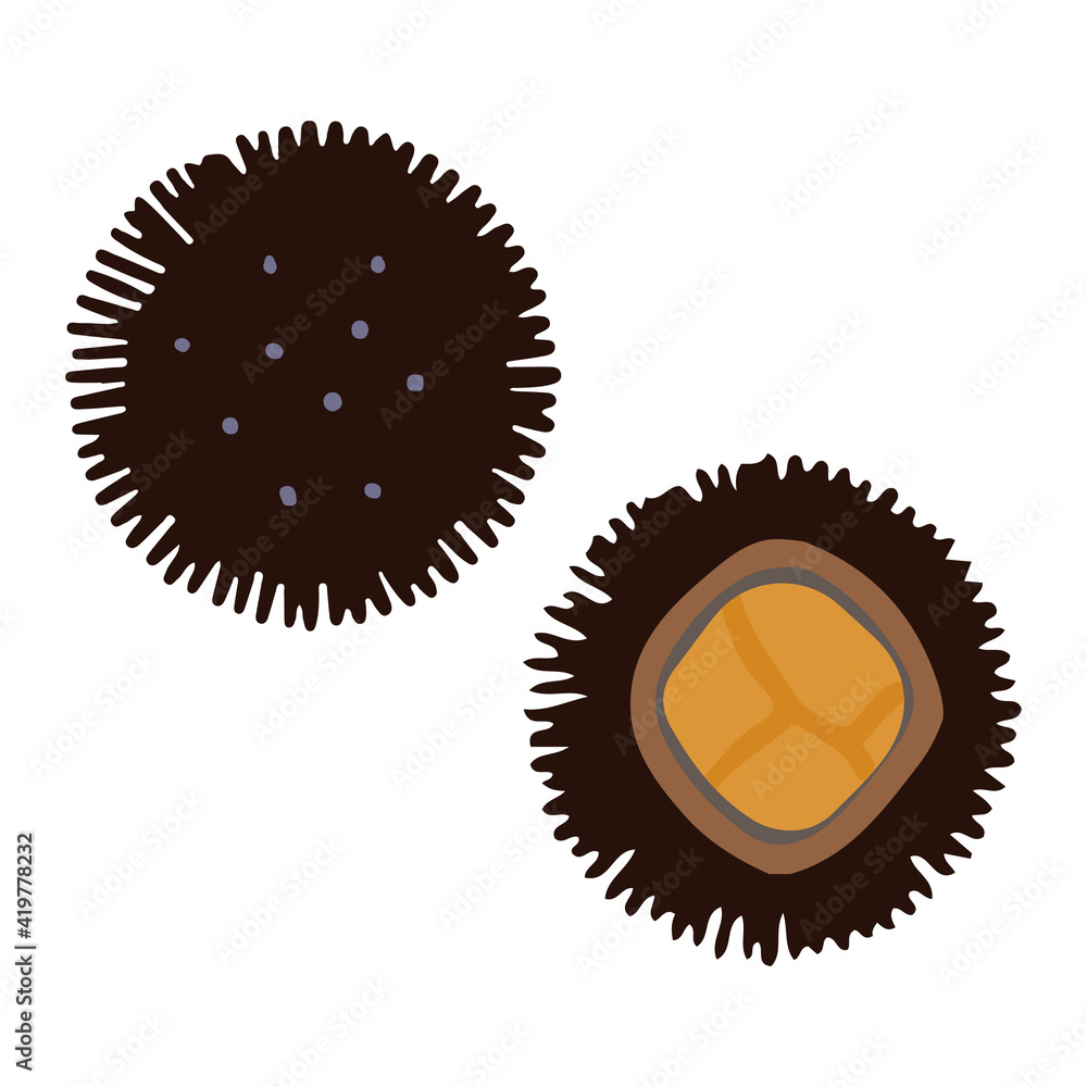 シンプルでかわいいウニのイラスト 手書き風 Stock Vector Adobe Stock シンプルでかわいいウニのイラスト 手書き風 Stock Vector Adobe Stock