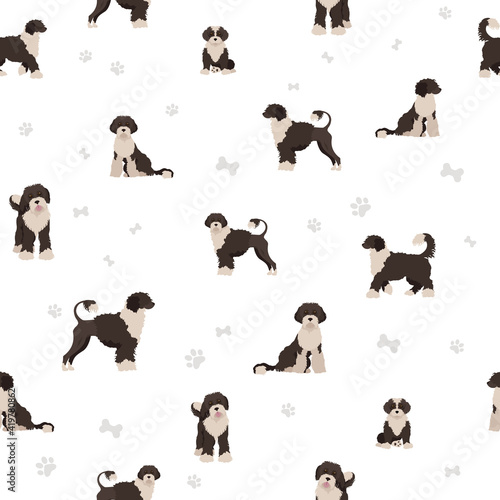 Portuguese seamless pattern. Different poses, coat colors set.