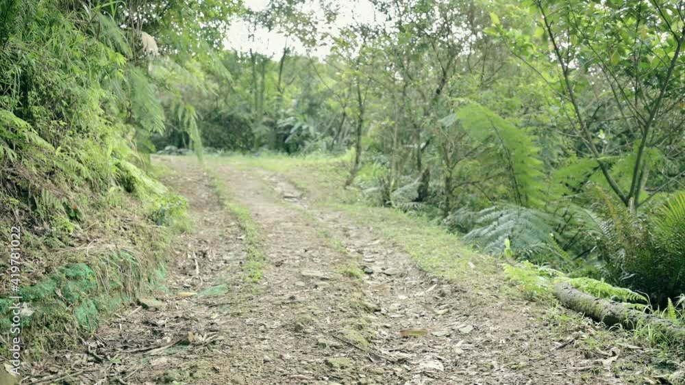 The landscape of Pinghu Trail. The landscape of Pinghu Trail.