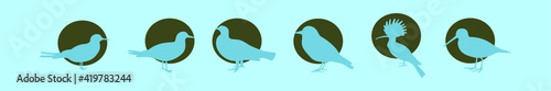 set of snipe cartoon icon design template with various models. vector illustration isolated on blue background