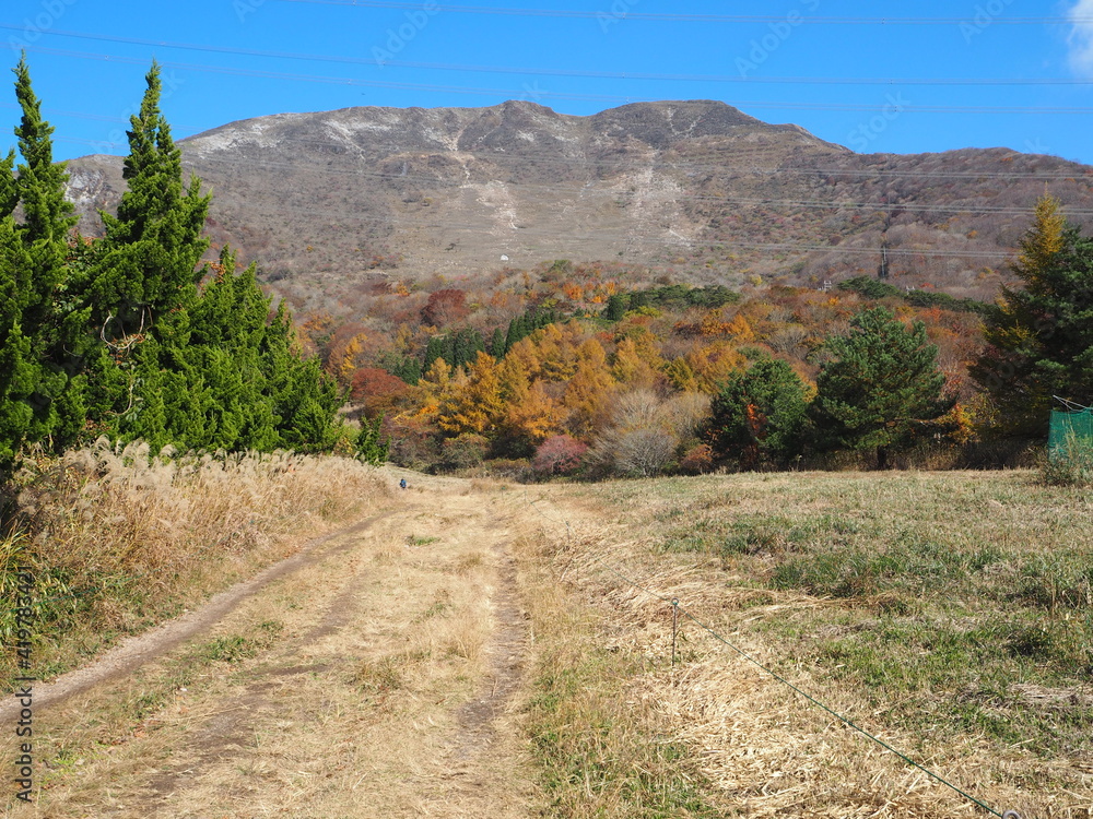 秋の伊吹山の山道