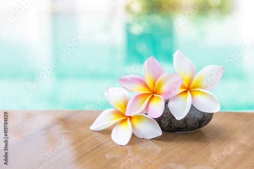 Beautiful fresh plumeria flower over blurred pool water background, summer and spring season concept, outdoor day light, spa and wellness background idea