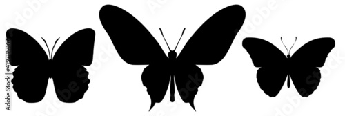 Butterfly black icon, isolated on white background © suns07butterfly