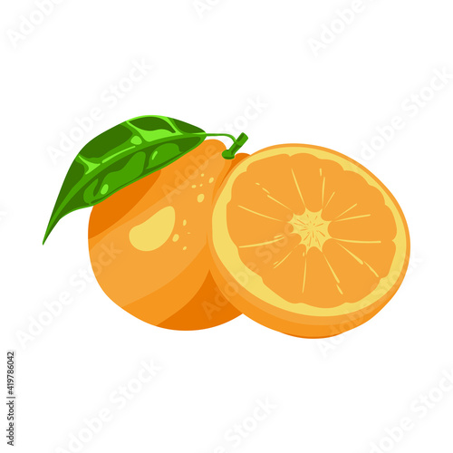 fresh orange sliced. the tropical fruits illustration collection in vector design. healthy, juicy, and sweet food. colorful fruit animation isolated on white background.