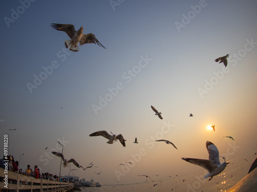 Sunset at Bang Pu Thailand , There are lots of seagulls fly, Recreation Center. Migratory seagulls flock to the Bang Pu Seaside. Selective focus  © Jatuporn