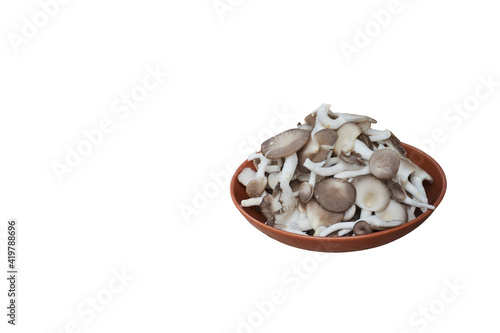 Organic and Healthy concept. Fresh mushrooms in plate isolated on white background.