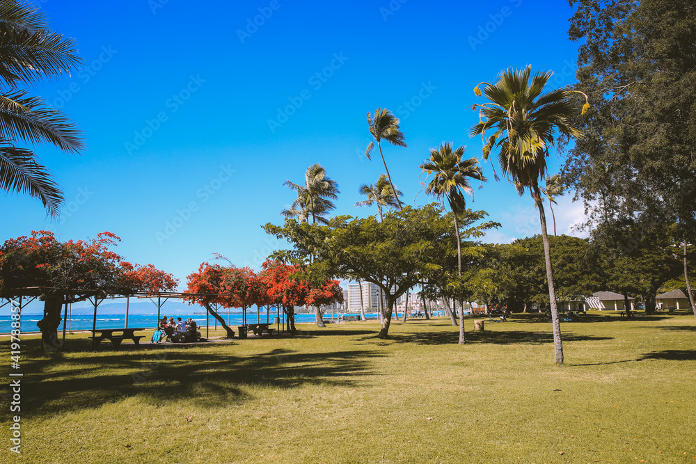 Palm trees by the sea at Kapolani Regional Park, Waikiki, Honolulu, Oahu, Hawaii
Palm trees by the sea at Kapolani Regional Park, Waikiki, Honolulu, Oahu, Hawaii