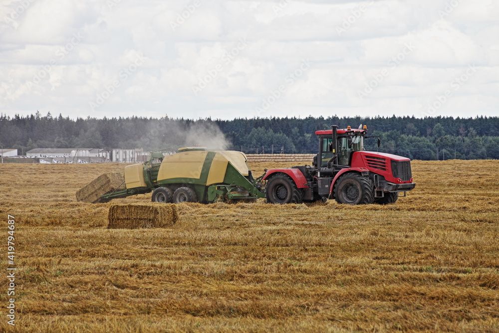 Fototapeta premium Modern red wheeled tractor with auxiliary equipment picks up hay and presses straw into cubes blocks on a yellow harvested field on farm background at autumn day, agricultural machinery in farming