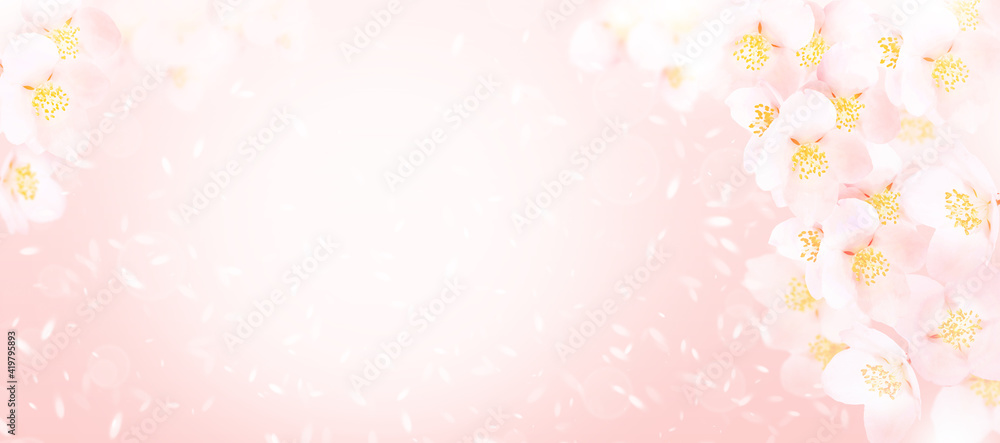 Pastel spring background with small jasmine flowers, selective focus, Pastel spring background with small jasmine flowers, selective focus,