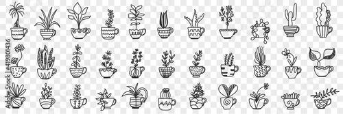 Plants in pots doodle set. Collection of hand drawn various homegrown pants and flowers in pots for home interior decoration isolated on transparent background