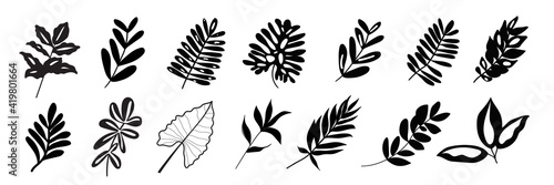 Tropical exotic leaves hand drawn vector set. Black silhouettes of palm leaves and herbs leaves
isolated on white background.