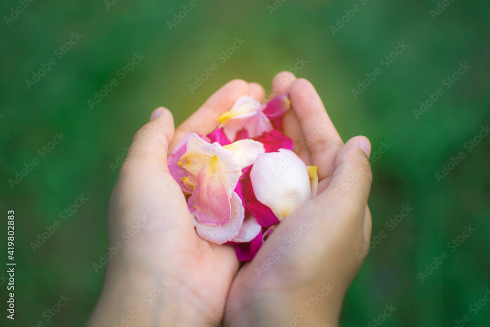 A child with a handful of rose petals with green background A child with a handful of rose petals with green background