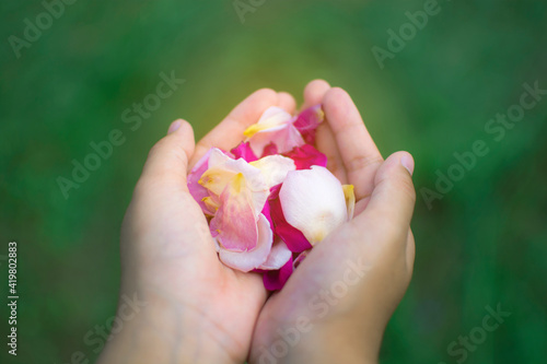 A child with a handful of rose petals with green background