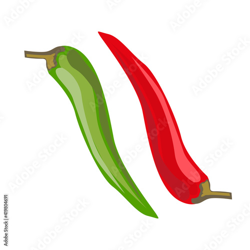 Hot pepper, two pods - green and red. Vector isolated on a white background.