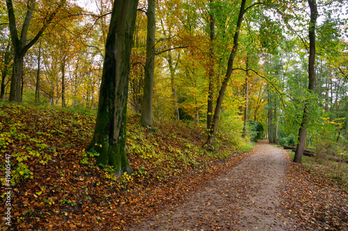 Weg durch den Herbstwald, Nordrhein-Westfalen, Deutschland, Europa