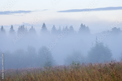 Beautiful summer foggy landscape. Morning fog over the clearing and forest. View of trees in the fog. Summer nature in the countryside. Scenic misty rural scape. Amazing soft mist. Natural background.