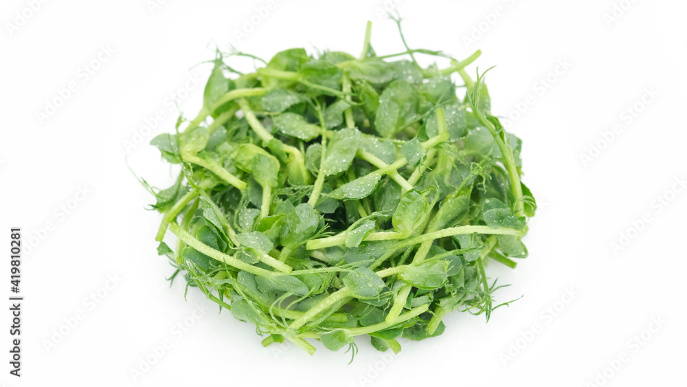 fresh micro greens pea isolated on white background fresh micro greens pea isolated on white background
