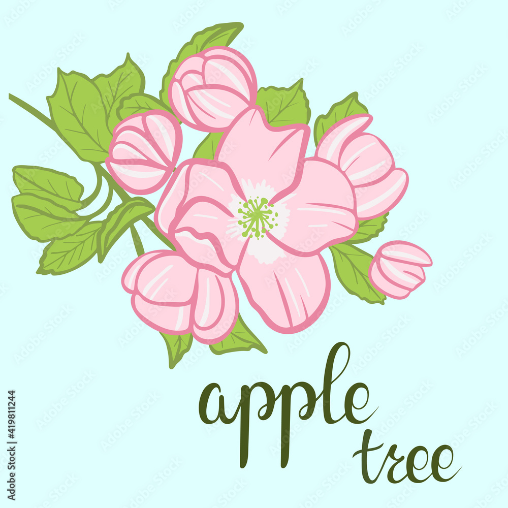 Blossoming apple tree branch sketch. Color illustration freehand drawing. Spring flowers with leaves on a branch vector