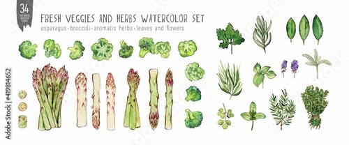 Watercolor and ink set of aromatic herbs, asparagus and broccoli. Colorfull set for design textile, wallpapers, print and banners.