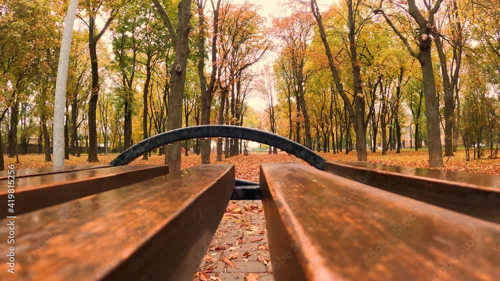 moving camera along bench after rain in autumn park moving camera along bench after rain in autumn park