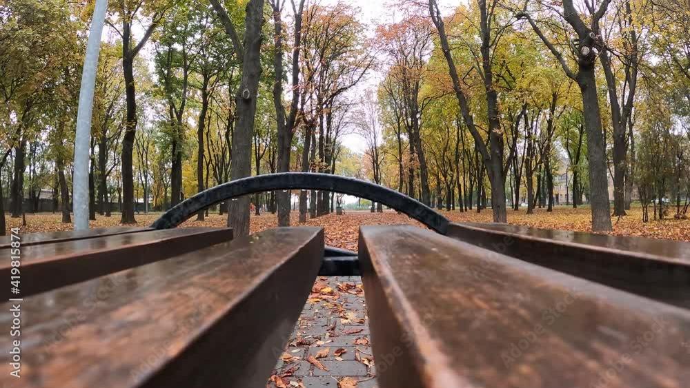 moving camera along bench after rain in autumn park