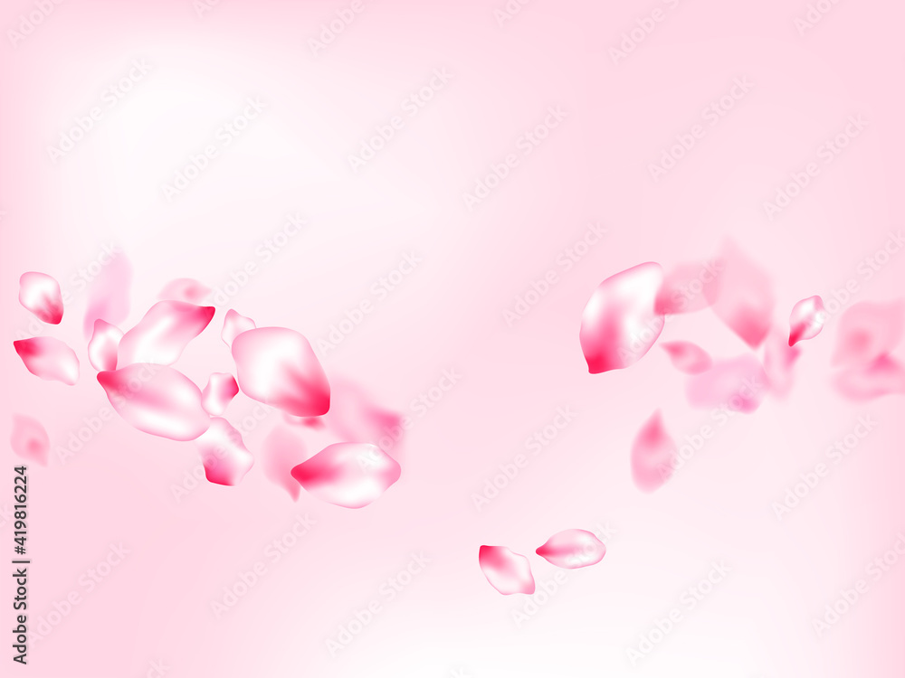 Spring tree flowers parts, airy flying petals Spring tree flowers parts, airy flying petals